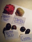 four fruits by Sara.JPG (48 KB)